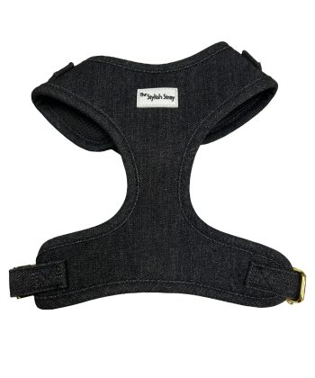 Victorian Vanguard Harness - Black Denim Harness - Front