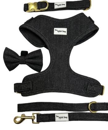 Victorian Vanguard Harness Black Denim Set
