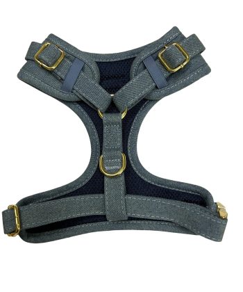Victorian Vanguard Harness -Blue Denim Harness - Back